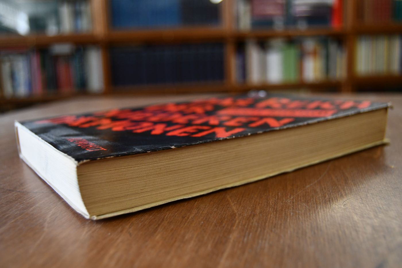 Das Reich der niederen Dämonen.