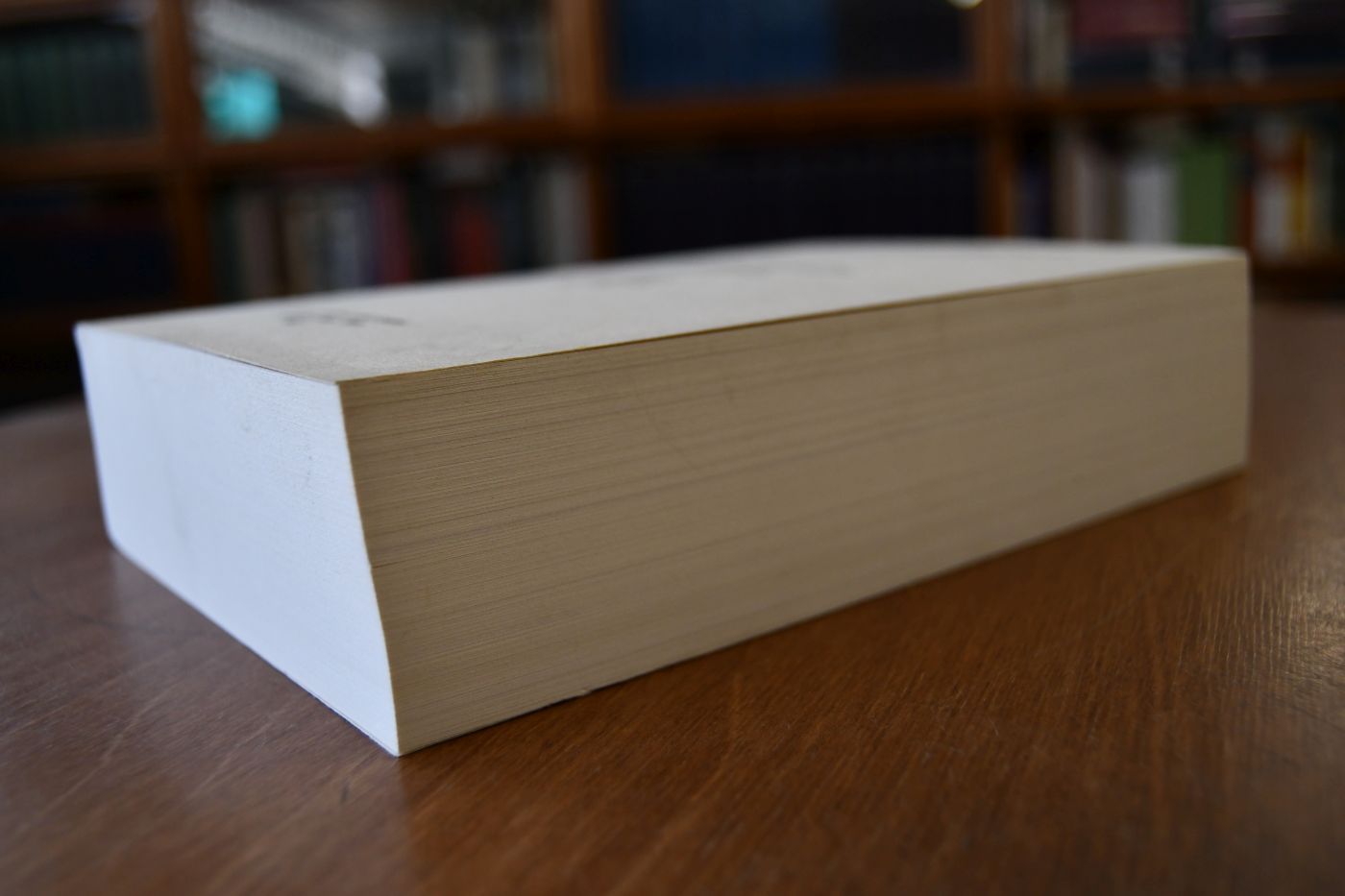 Seefischereirecht und Küstengewässer nach der Rechtsauffassung der Amerikanischen Staaten.