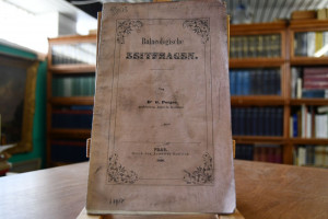 Balneologische Zeitfragen.