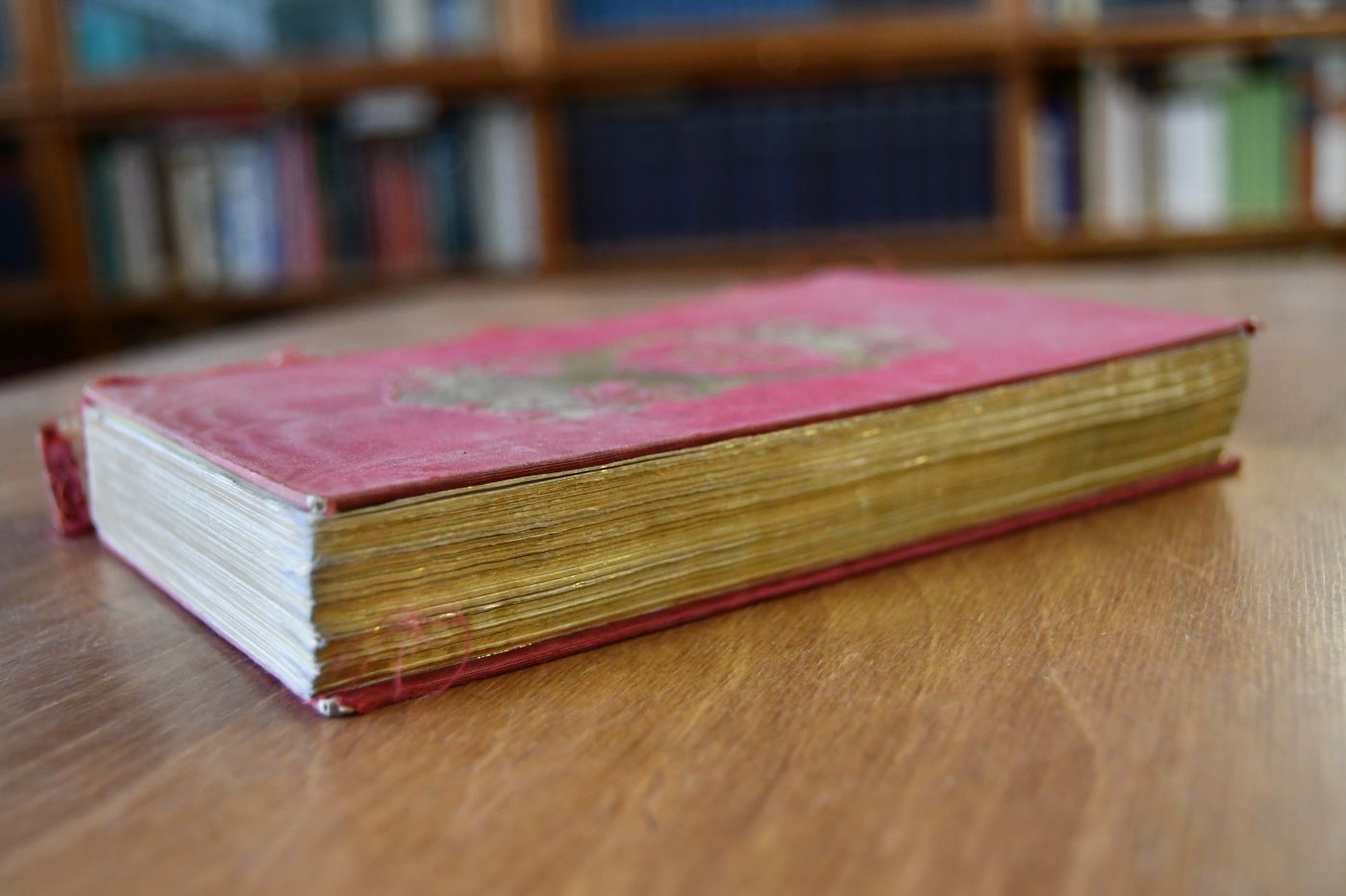 Gedenke Mein! Taschenbuch für 1853. 22. Jahrgang.