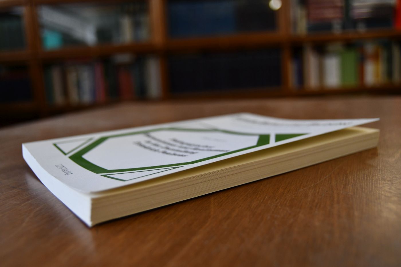 Pädagogischer Humanismus und Realismus in der Darstellung Friedrich Paulsens.