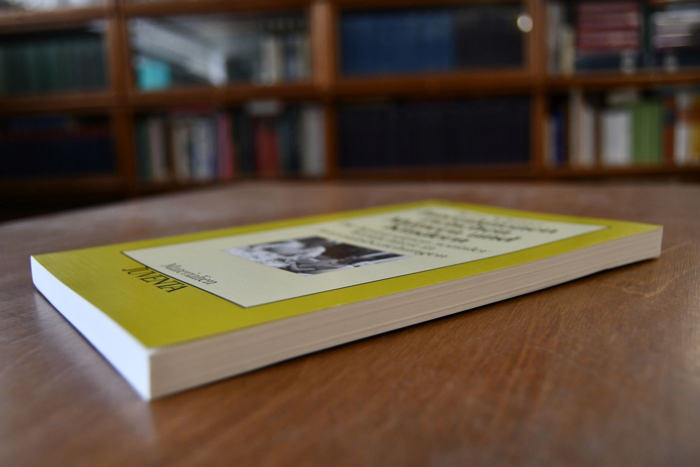 Interaktionen zwischen Müttern und Kindern. Die Konstruktion sozialer Wirklichkeit in Autoritätsbeziehungen.