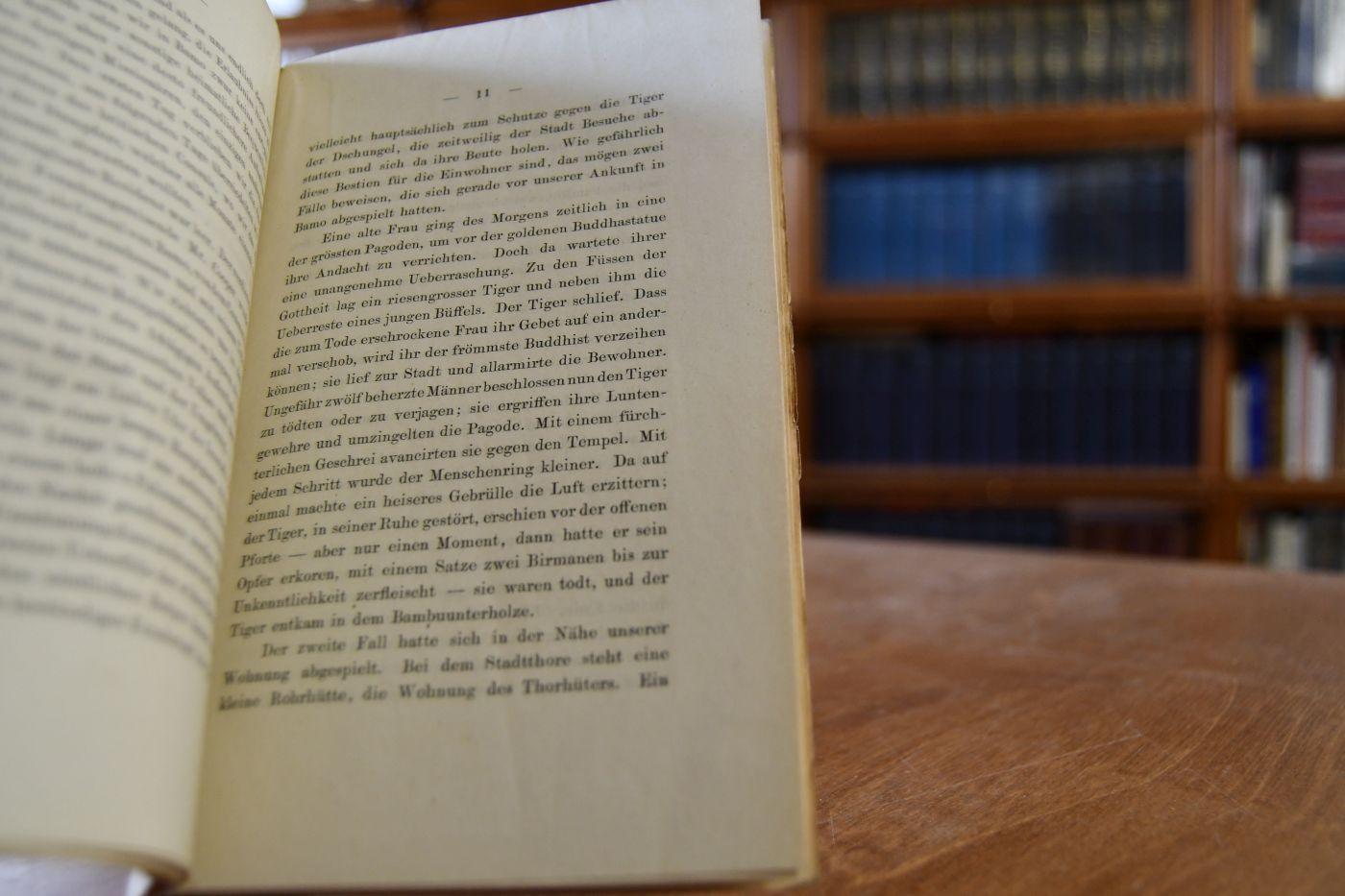 Reiseskizzen aus Birma. Ein Vortrag gehalten im Vereine zur Verbreitung naturwissenschaftlicher Kenntnisse in Wien am 4. Jänner 1882.
