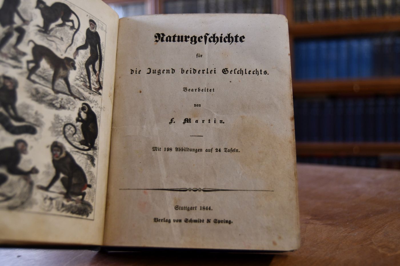 Naturgeschichte für die Jugend beiderlei Geschlechts.