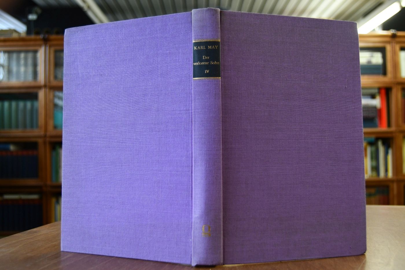 Der verlorene Sohn oder der Fürst des Elends Teil 4.