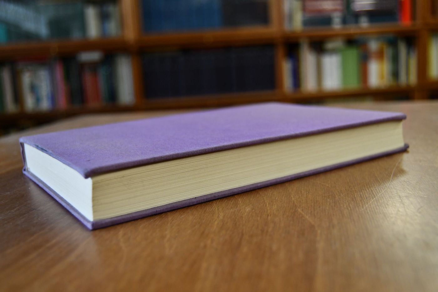 Der verlorene Sohn oder der Fürst des Elends Teil 4.