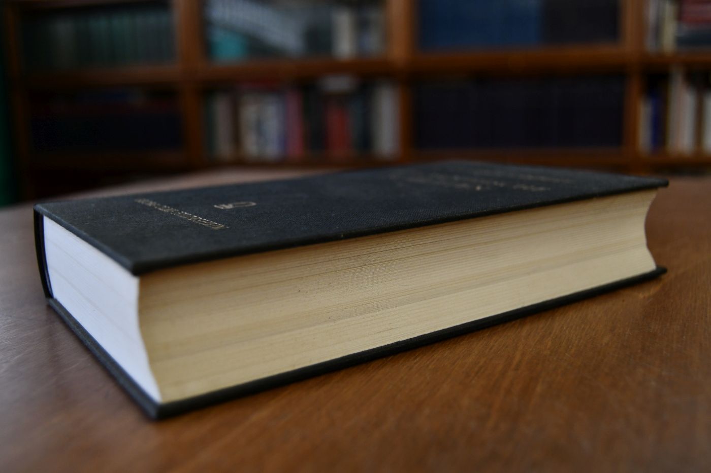 Philosophische Schriften VI. Logische und philosophische Abhandlungen 1. Band.