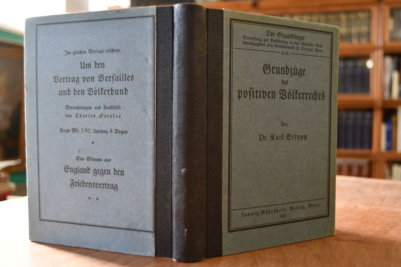 Grundzüge des positiven Völkerrechts.