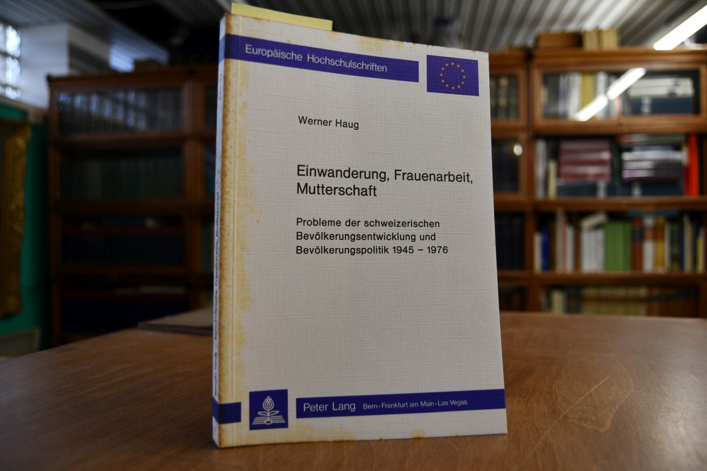 Einwanderung, Frauenarbeit, Mutterschaft. Probleme der schweizerischen Bevölkerungsentwicklung und Bevölkerungspolitik 1945 - 1976.