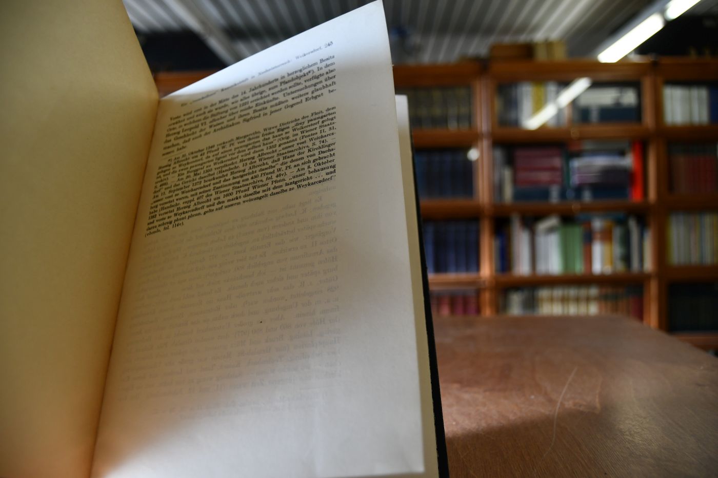 Kirchen- und Dynastenbesitz in der Steiermark.