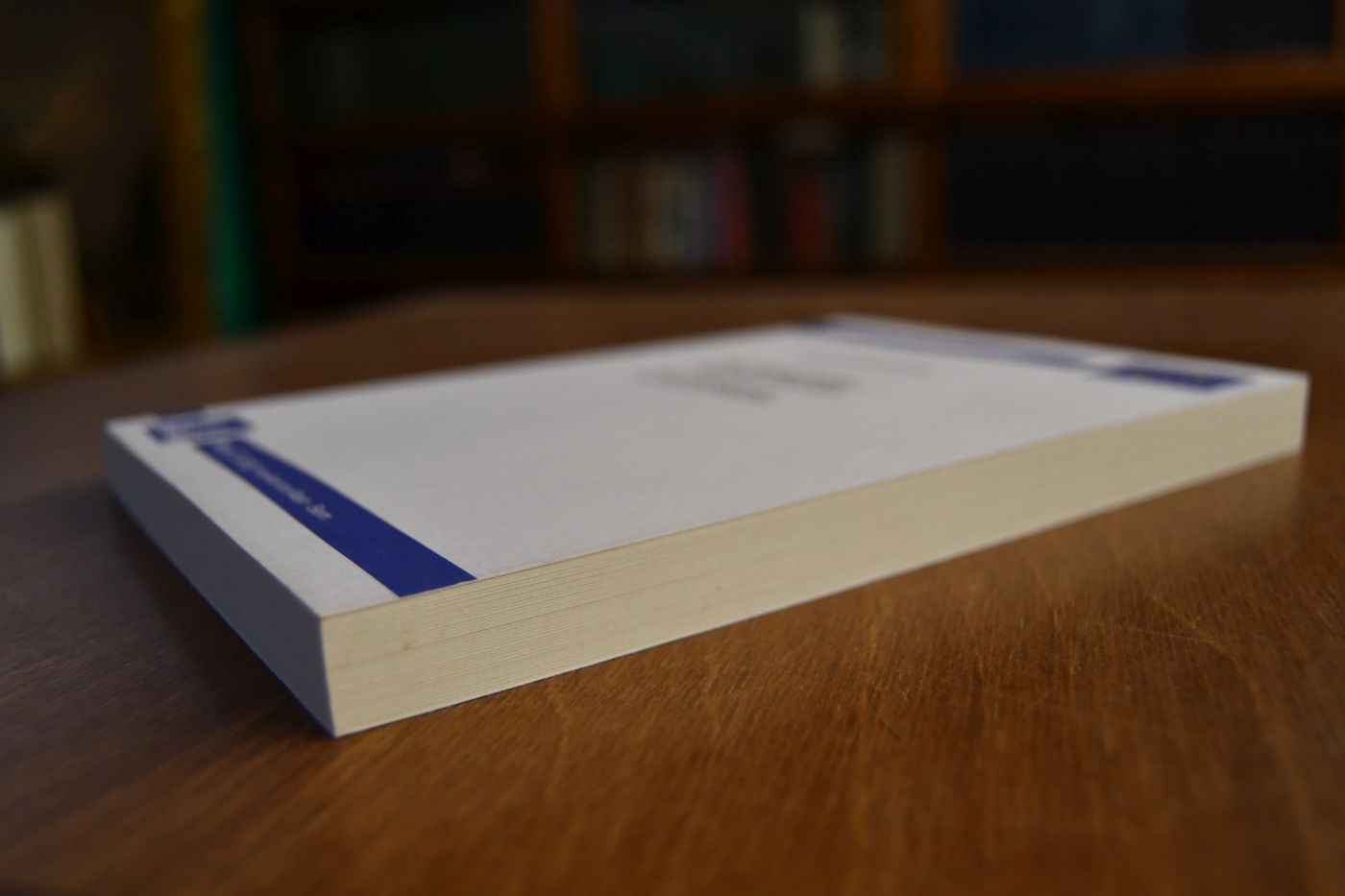 Die Reisebilder Heinrich Heines. Vermittlung durch literarische Stilmittel.