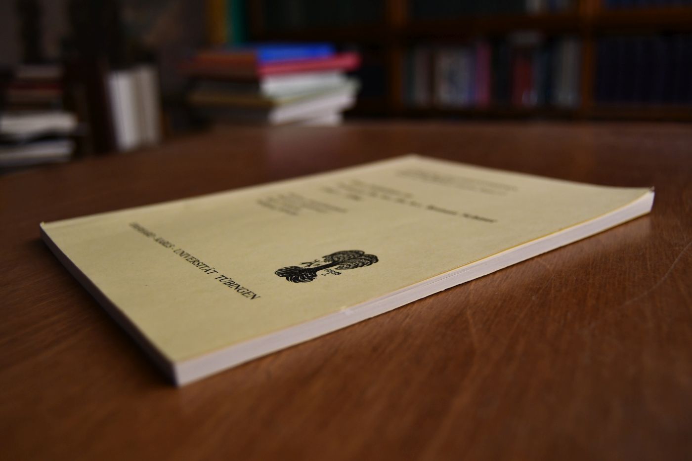 Zum Gedenken an Professor Dr.iur. Dr.h.c. Roman Schnur (1927-1996).