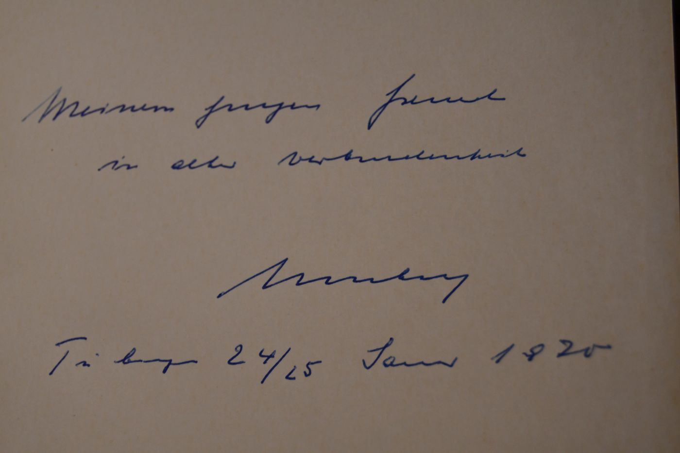Das beschädigte Leben. Diagnose und Therapie in einer Welt unabsehbarer Veränderungen. Symposion in der Bayerischen Akademie der Wissenschaften in München am 21. und 22. März 1969.