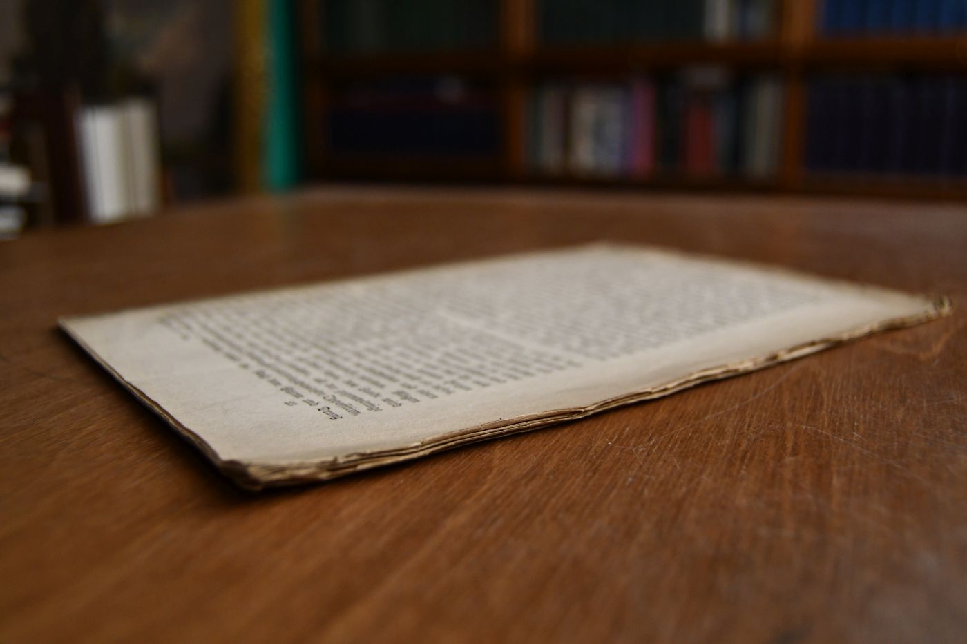 Ein deutscher Ceremonienmeister [Johannes Burkhard] am päpstlichen Hofe.