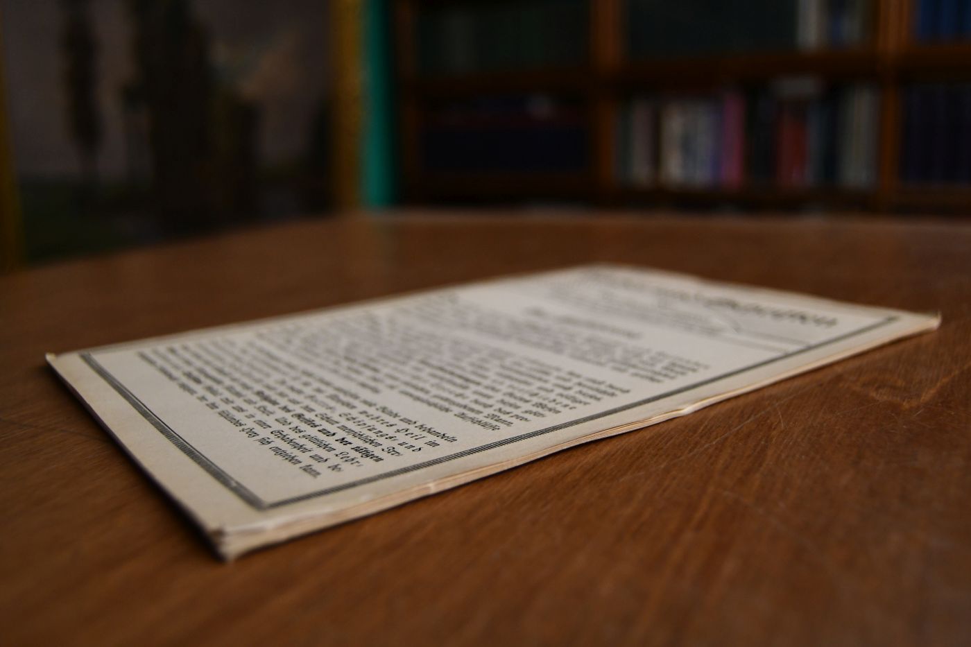 Bücher und Schriften des Neu-Salems-Lichtes 1928.