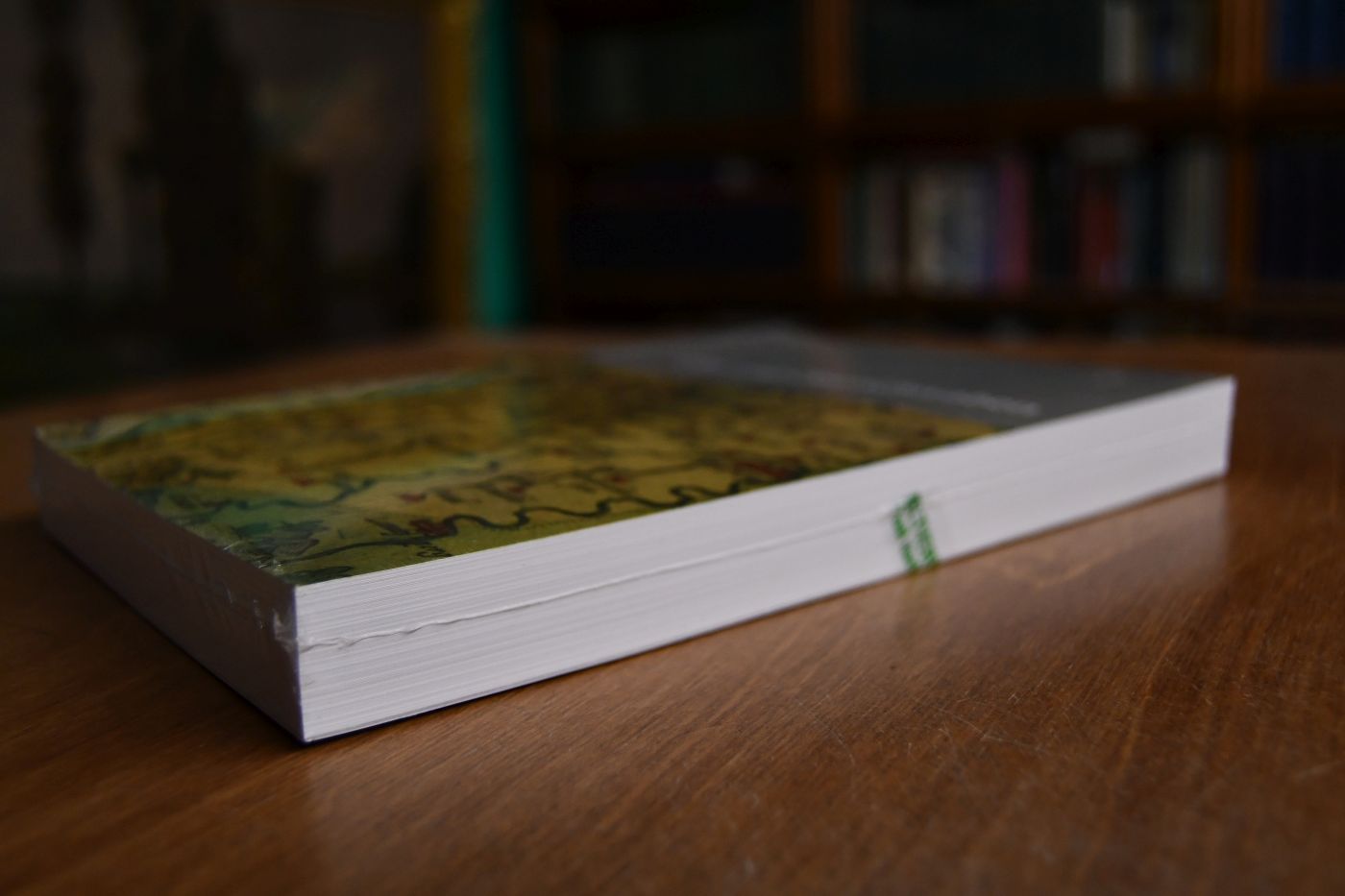 Ulm und Oberschwaben. Zeitschrift für Geschichte, Kunst und Kultur. Bd. 61 (2019).
