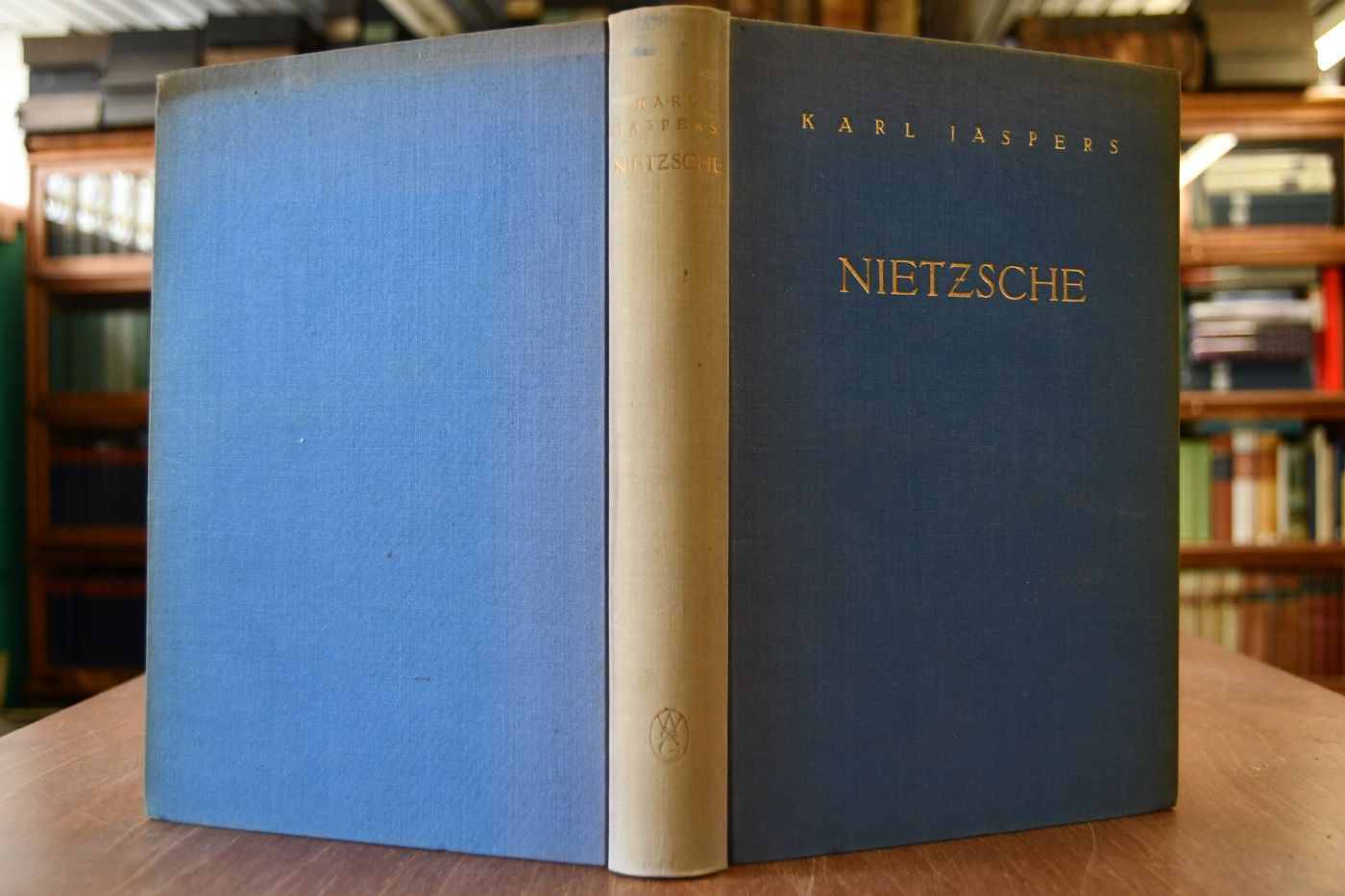 Nietzsche. Einführung in das Verständnis seines Philosophierens.