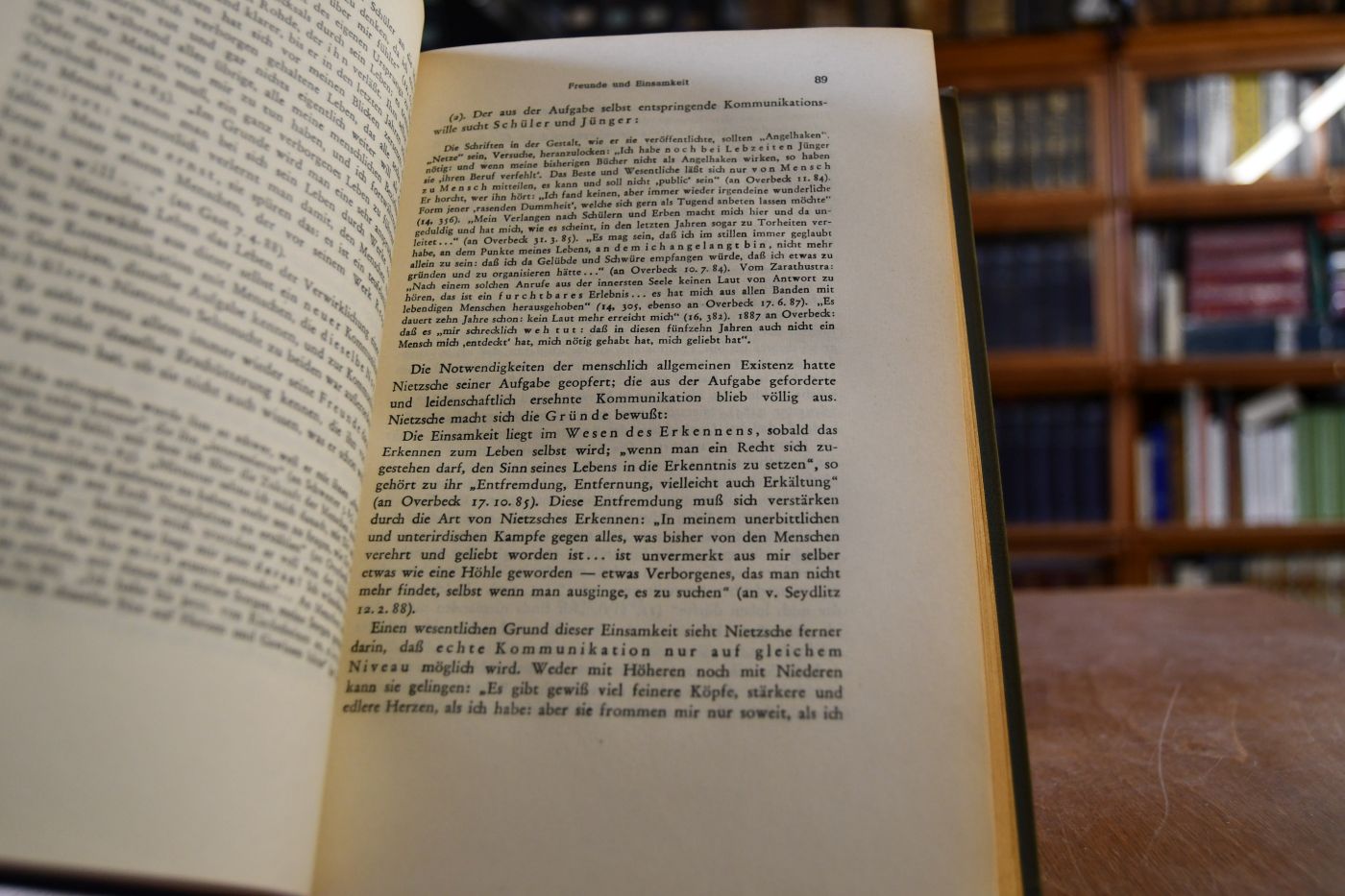Nietzsche. Einführung in das Verständnis seines Philosophierens.