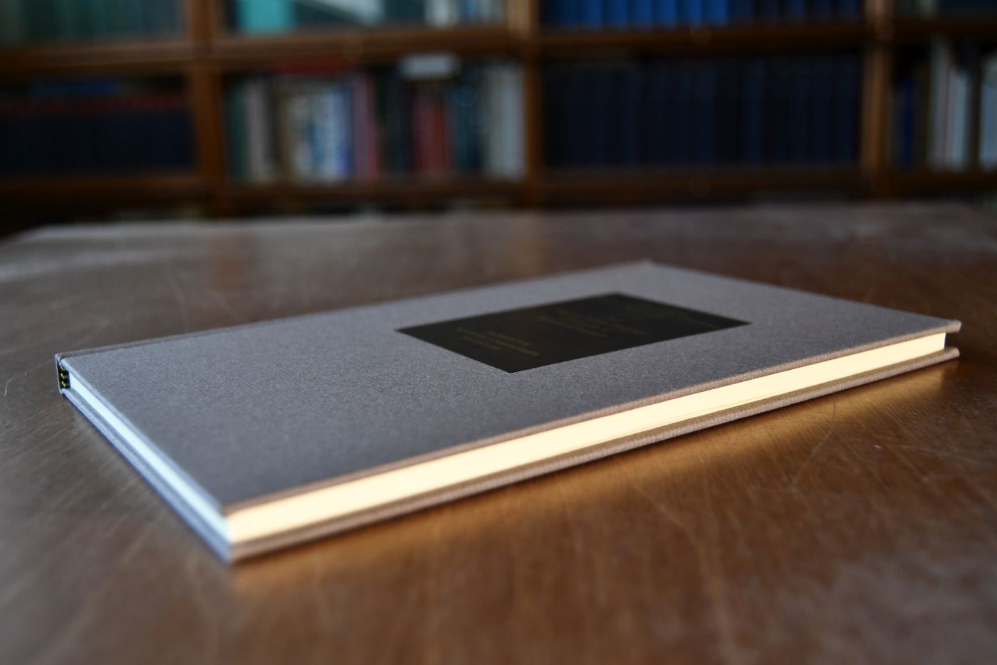Principles of Political Economy. Beigegeben Vademecum zu einem wegweisenden Klassiker der ökonomischen Wissenschaft, Düsseldorf, Verlag Wirtschaft und Finanzen, 1989, 94 S., Pappband, ISBN 3878810393.