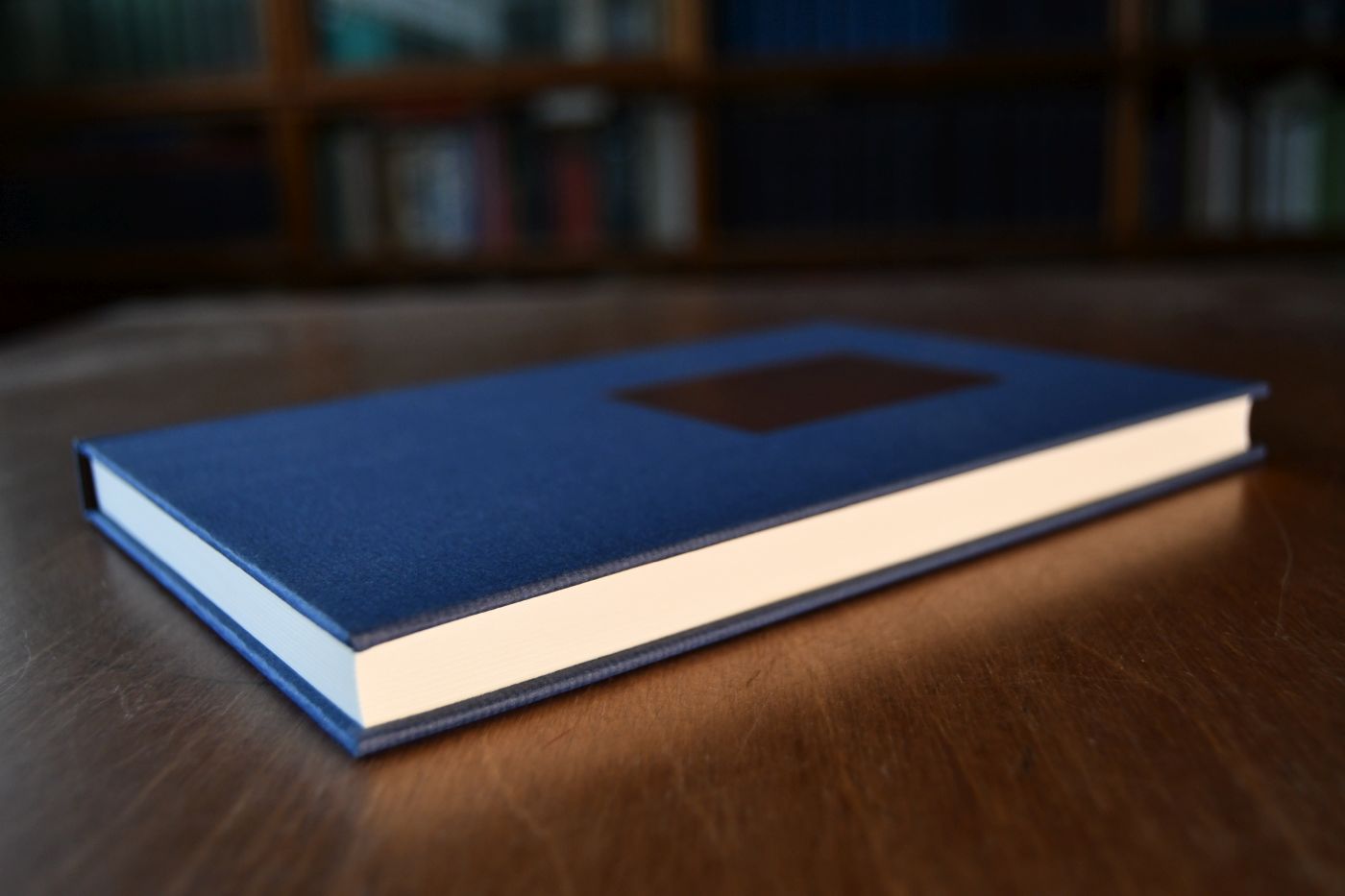 Lehrbuch der Finanzwissenschaft. Als Grundlage für Vorlesungen und zum Selbststudium. Beigegeben Vademecum zu einem Klassiker der Staatswissenschaft, Düsseldorf, Verlag Wirtschaft und Finanzen, 1998, 199 S., Pappband, ISBN 3878811268.