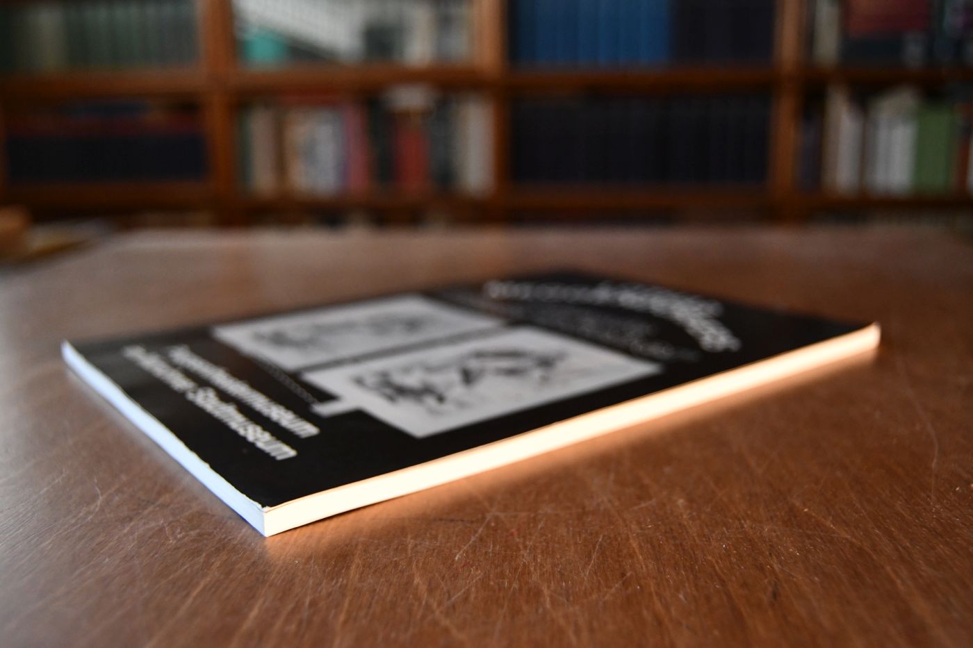 Lothar Meggendorfers Lebende Bilderbücher. Katalog zur Ausstellung vom 11.12.1980 - 28.2.1981 des Puppentheatermuseums im Münchner Stadtmuseum.