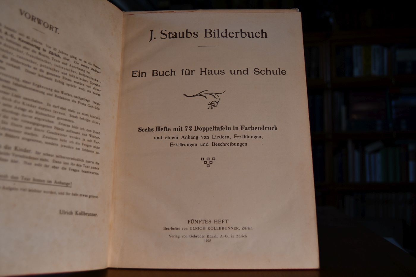 J. Staubs Bilderbuch. Ein Buch für Haus und Schule. Fünftes Heft.