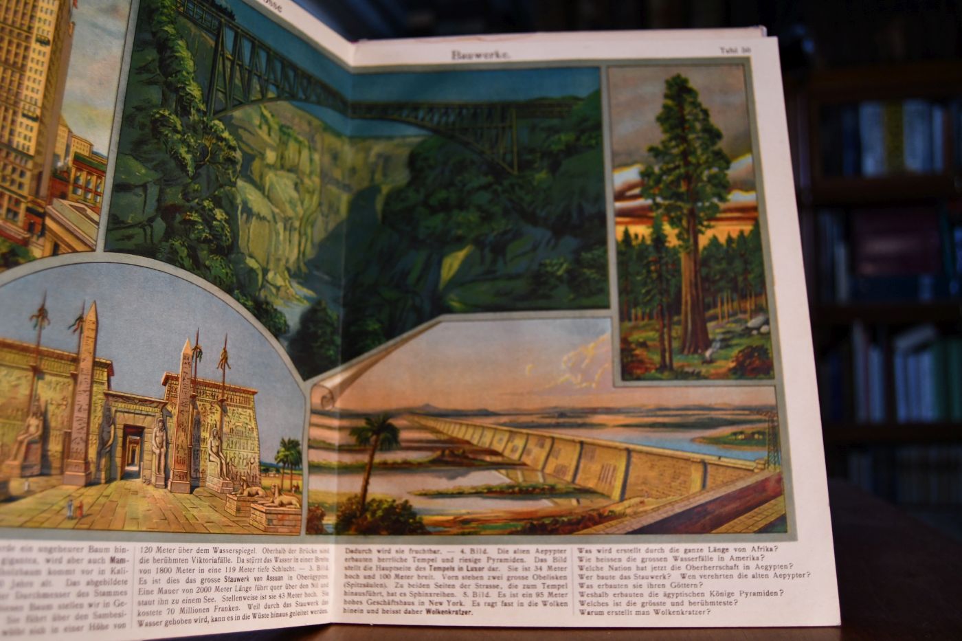 J. Staubs Bilderbuch. Ein Buch für Haus und Schule. Fünftes Heft.