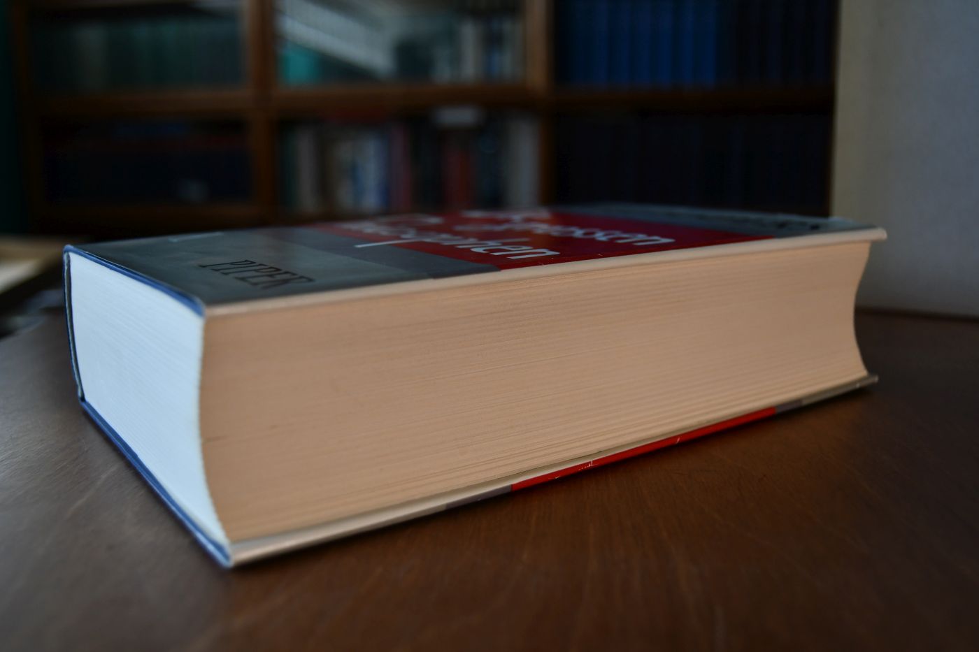Die grossen Philosophen. Erster Band. Die maßgebenden Menschen Sokrates, Buddha, Konfuzius, Jesus. Die fortzeugenden Gründer des Philosophierens Plato, Augustin, Kant. Aus dem Ursprung denkende Metaphysiker Anaximander, Heraklit, Parmenides, Plotin, Anselm, Spinoza, Laotse, Nagarjuna.