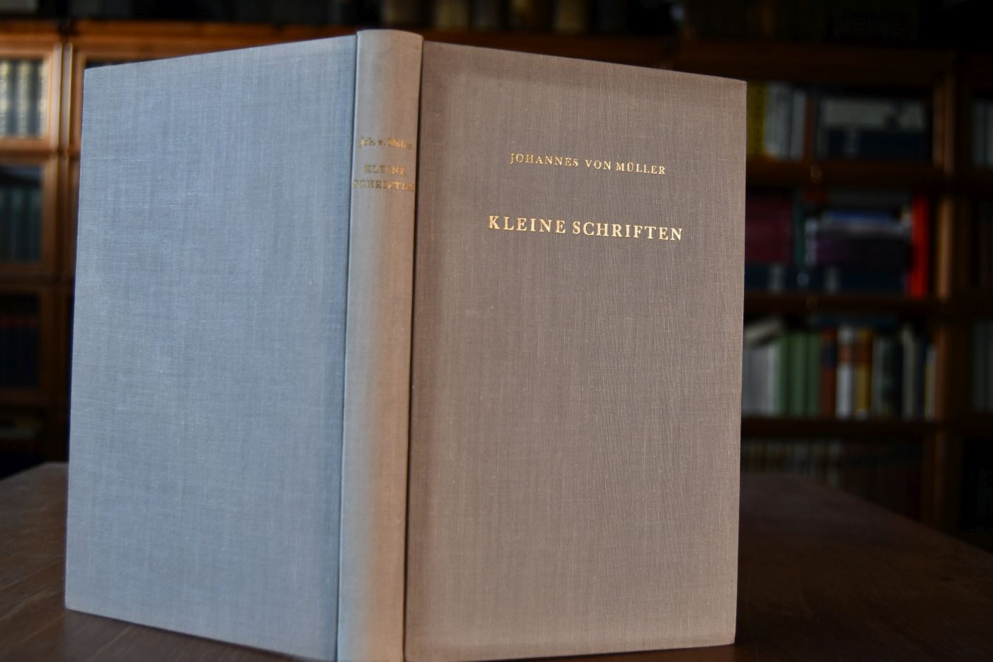 Kleine Schriften. Schaffhausen in den Geschichten schweizerischer Eidgenossenschaft.