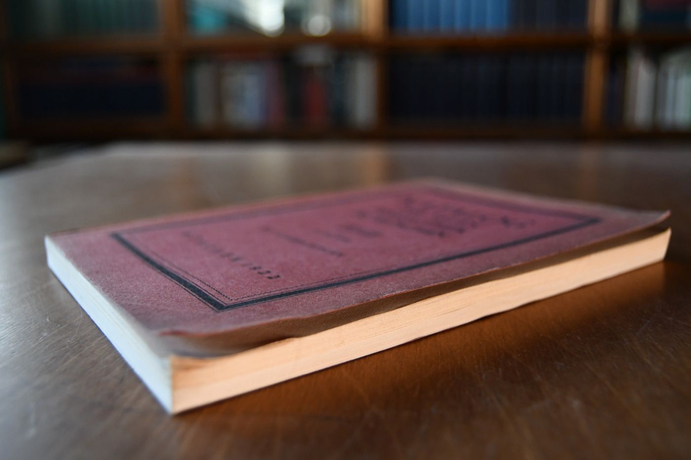 Katalog der Neuen Pinakothek zu München. Amtliche Ausgabe.