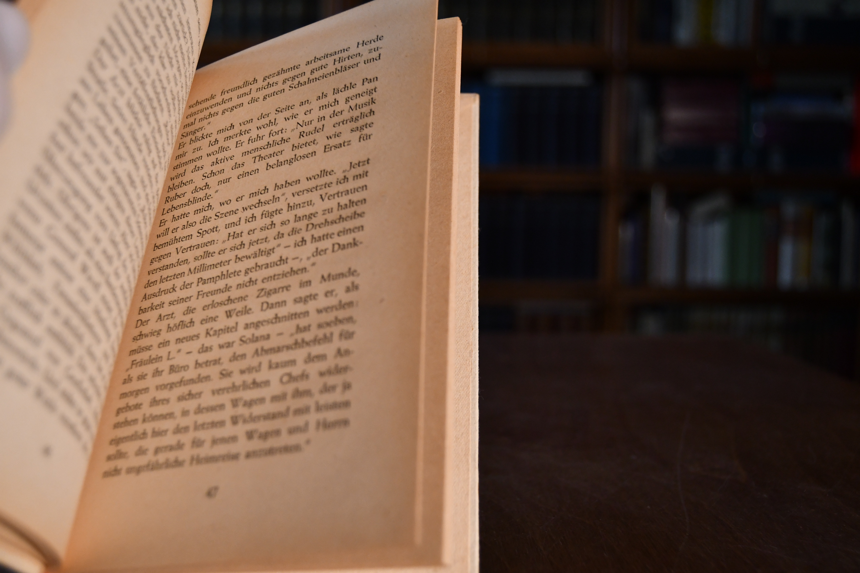 Abschied in Triest. Novelle.