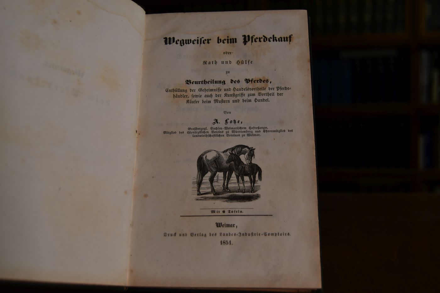 Wegweiser beim Pferdekauf oder Rath und Hülfe zu Beurtheilung des Pferdes, Enthüllung der Geheimnisse und Handelsvortheile der Pferdehändler, sowie auch der Kunstgriffe zum Vortheil der Käufer beim Mustern und beim Handel.