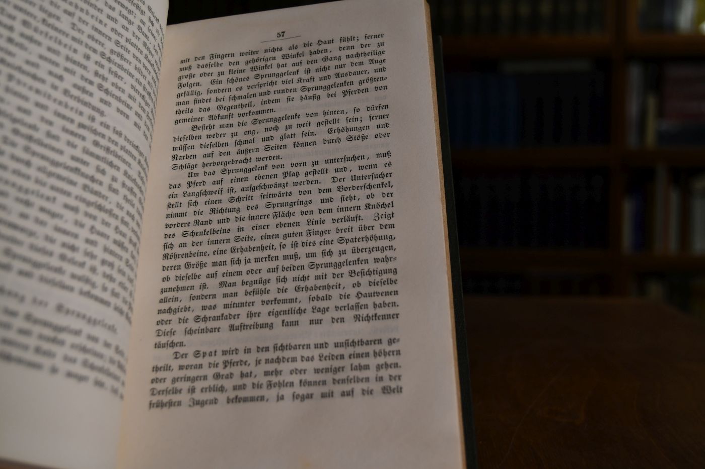 Wegweiser beim Pferdekauf oder Rath und Hülfe zu Beurtheilung des Pferdes, Enthüllung der Geheimnisse und Handelsvortheile der Pferdehändler, sowie auch der Kunstgriffe zum Vortheil der Käufer beim Mustern und beim Handel.