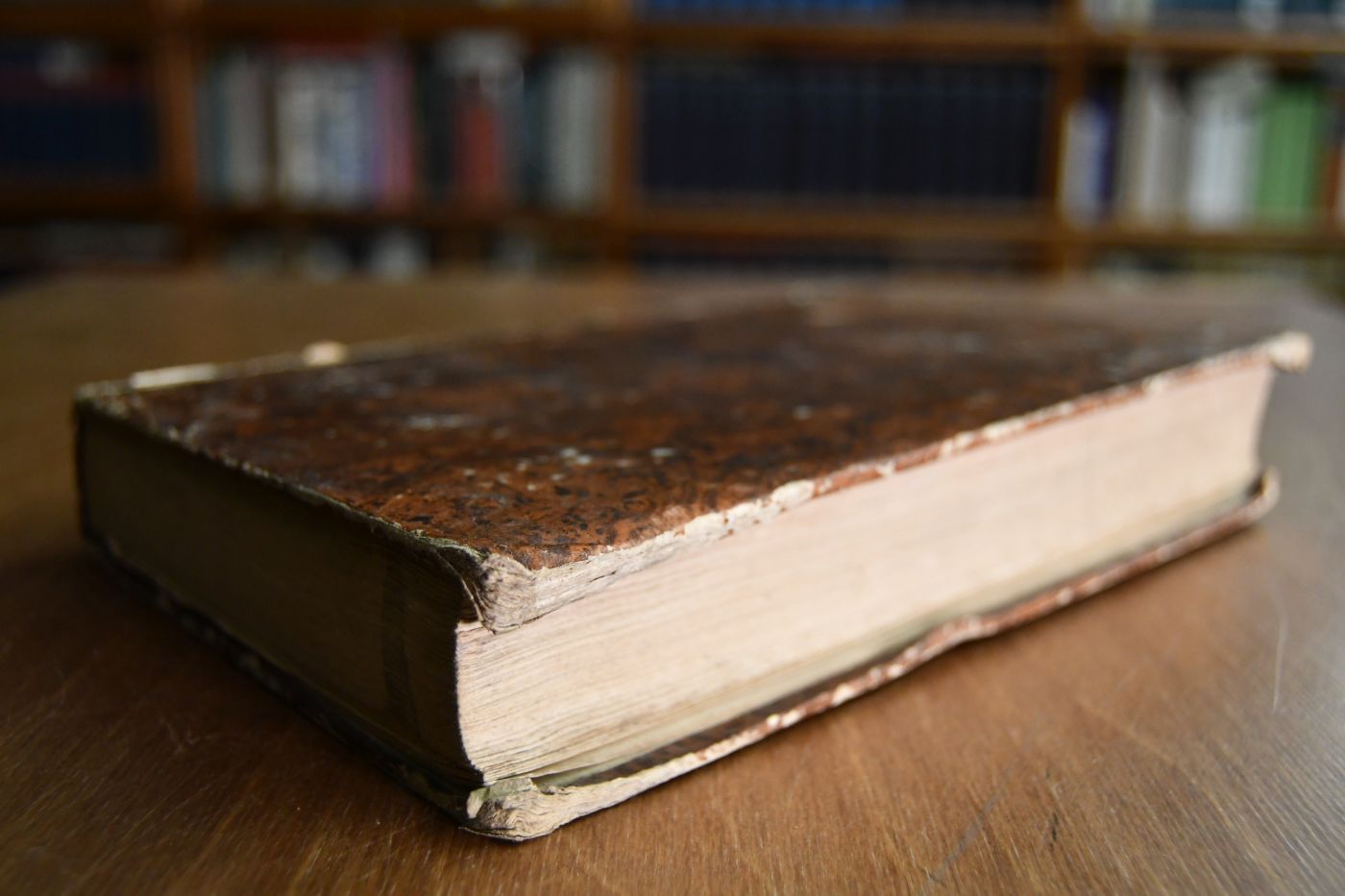 Die Zähmung des Pferdes. Rationelle Behandlungsart der Remonten und jungen Pferde überhaupt und der bösen, verdorbenen und reizbaren insbesondere. Aus der innern und äußern Natur des Pferdes praktisch entwickelt.