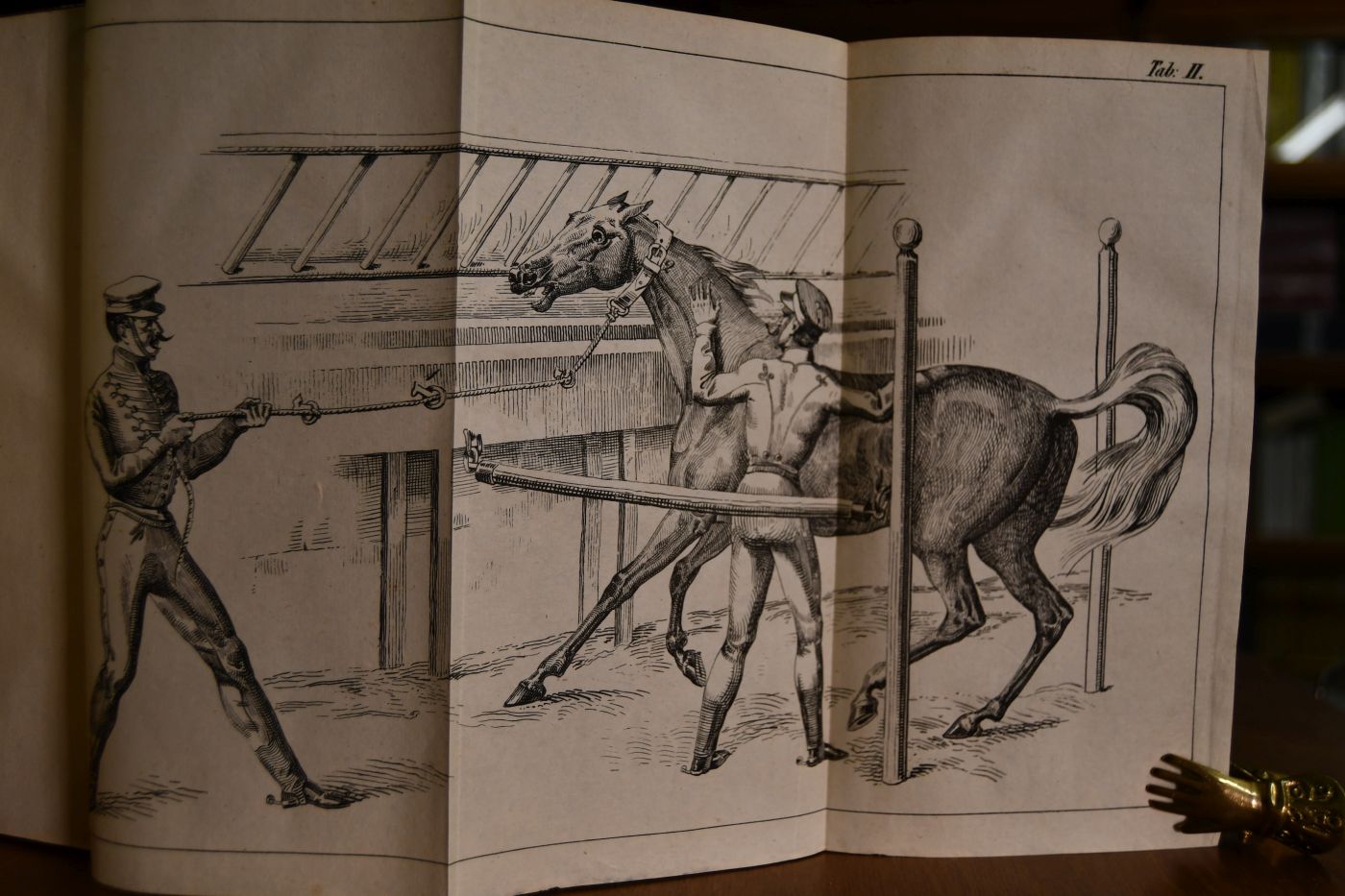 Die Zähmung des Pferdes. Rationelle Behandlungsart der Remonten und jungen Pferde überhaupt und der bösen, verdorbenen und reizbaren insbesondere. Aus der innern und äußern Natur des Pferdes praktisch entwickelt.