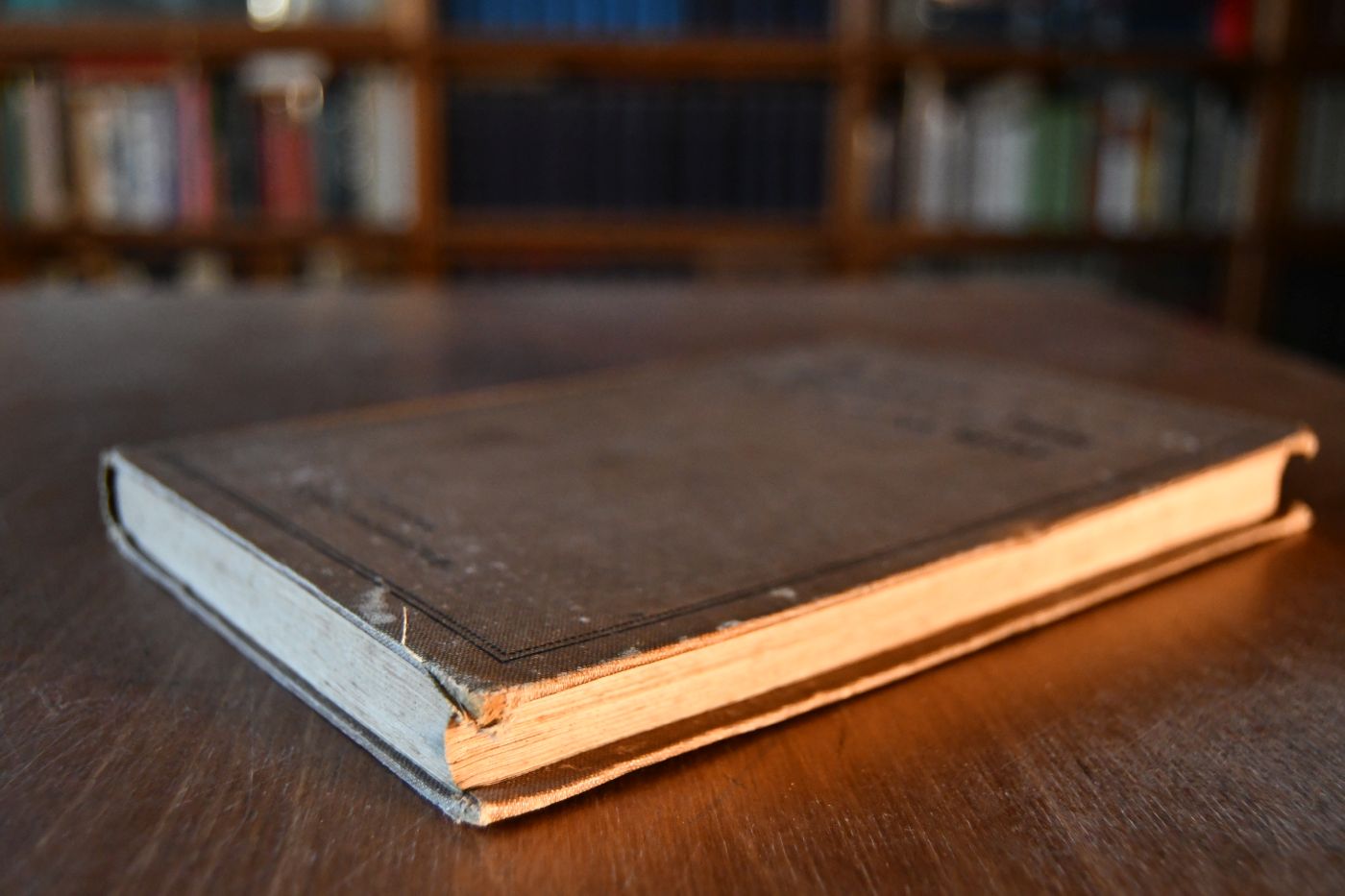 Die inneren Krankheiten der Pferde iher Entstehung, Verhütung und naturgemäße Heilung ohne Anwendung von Arznei.