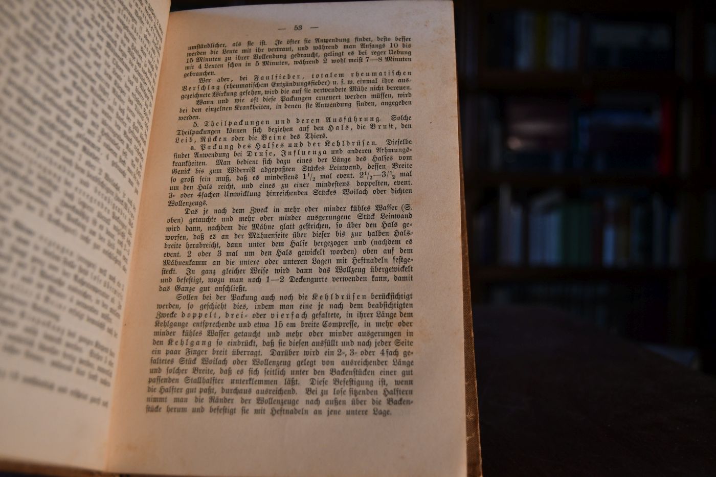 Die inneren Krankheiten der Pferde iher Entstehung, Verhütung und naturgemäße Heilung ohne Anwendung von Arznei.