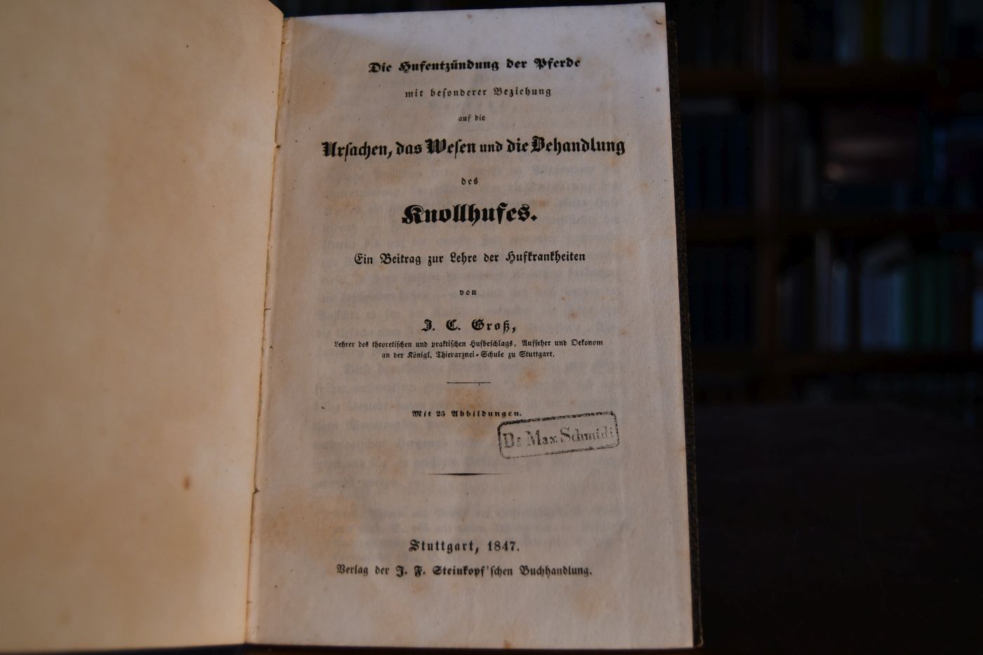 Die Hufentzündung der Pferde mit besonderer Beziehung auf die Ursachen, das Wesen und die Behandlung des Knollhufes. Ein Beitrag zur Lehre der Hufkrankheiten.