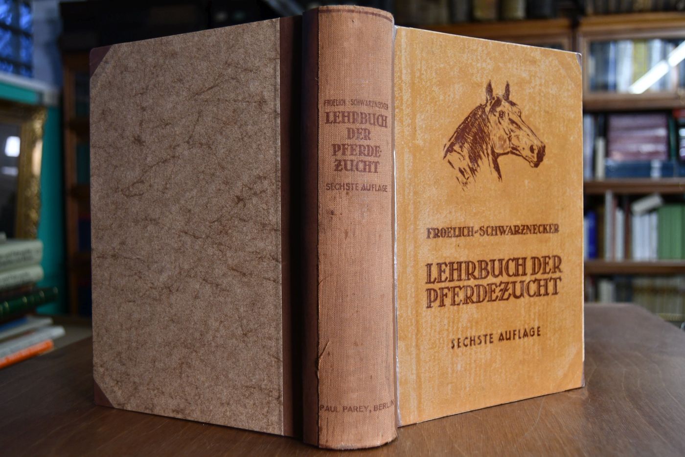 Lehrbuch dear Pferdezucht. Des Pferdes Rassen, Körperbau, Züchtung, Ernährung undHaltung.