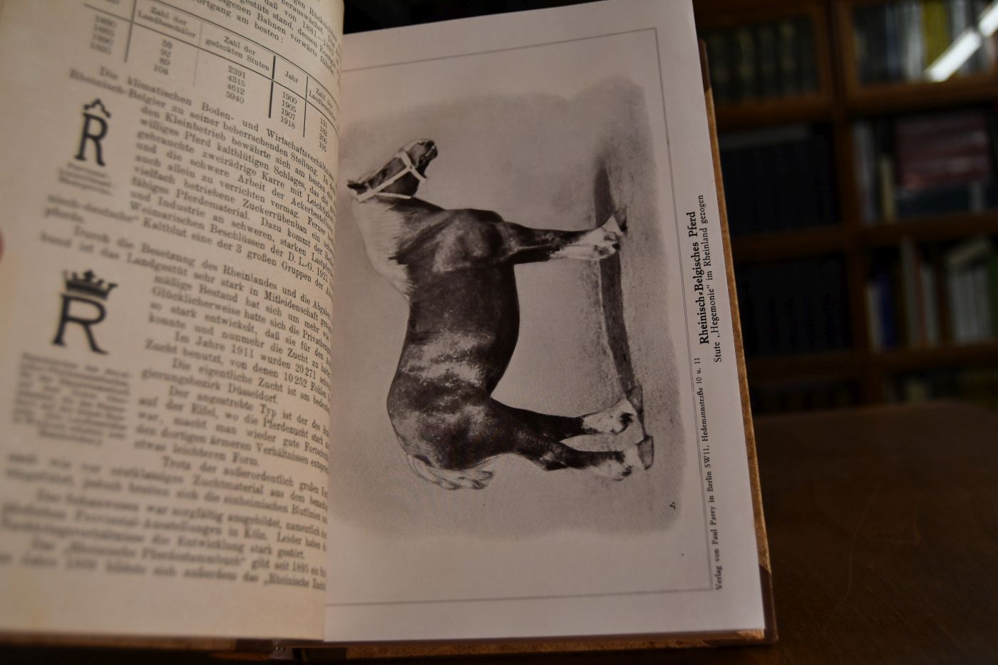 Lehrbuch dear Pferdezucht. Des Pferdes Rassen, Körperbau, Züchtung, Ernährung undHaltung.