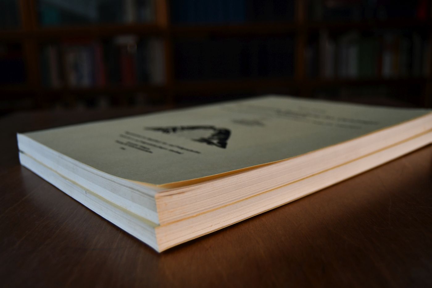 Die alamannische Besiedlung des Geislinger Talkessels (Ma<rkungen Altenstadt und Geislingen, Stadt Geislingen a.d. Steige, Lkr. Göppingen). Teil 1 Text, Anmerkungen, Literaturverzeichnis, Abbildungen. Teil 2 Anhang, Katalog, Tafeln.
