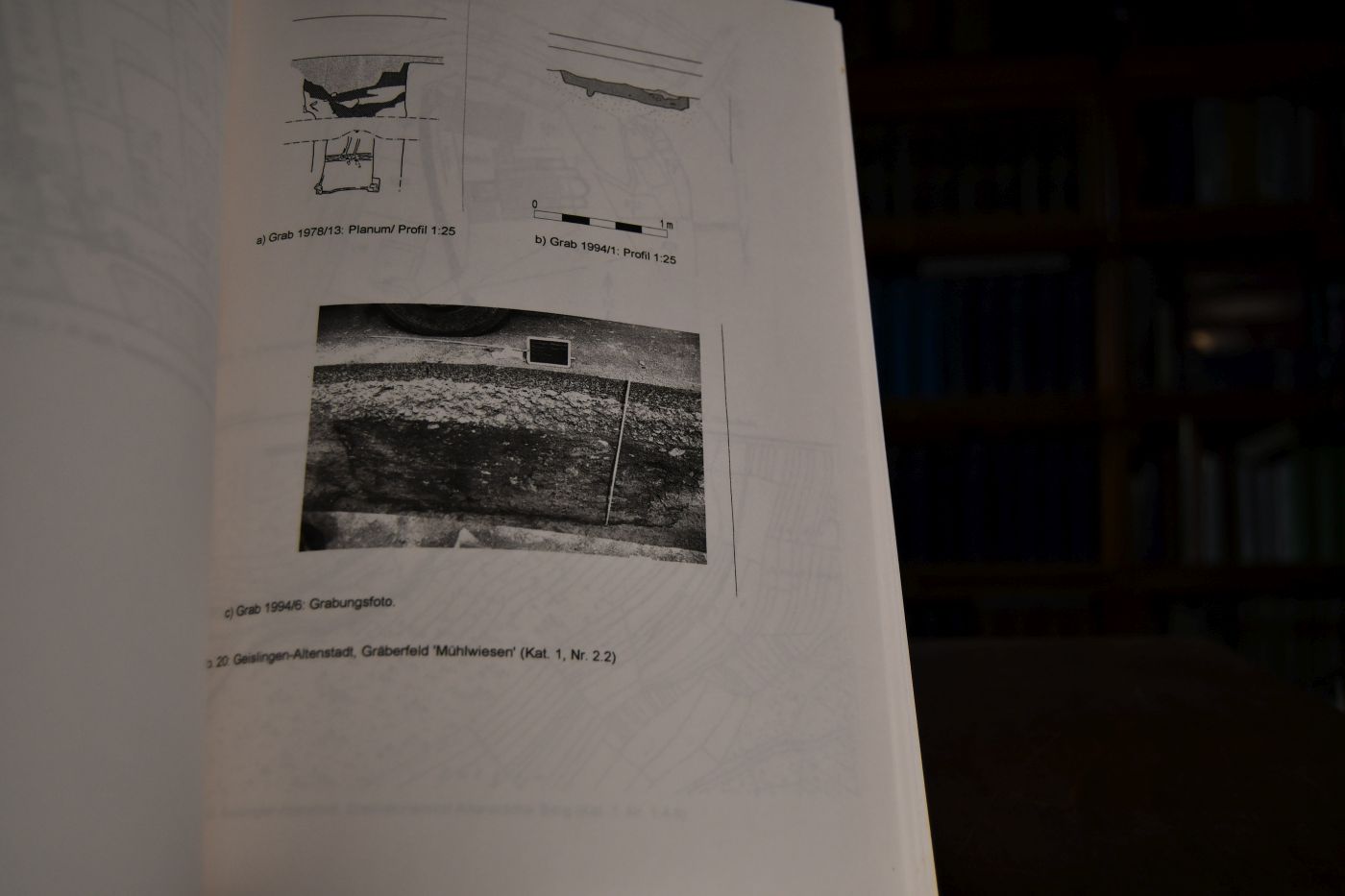 Die alamannische Besiedlung des Geislinger Talkessels (Ma<rkungen Altenstadt und Geislingen, Stadt Geislingen a.d. Steige, Lkr. Göppingen). Teil 1 Text, Anmerkungen, Literaturverzeichnis, Abbildungen. Teil 2 Anhang, Katalog, Tafeln.