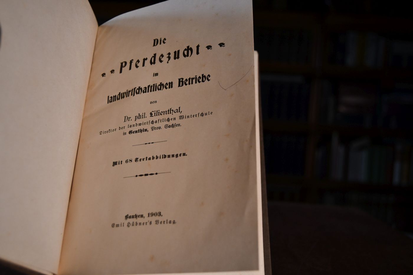 Die Pferdezucht im landwirtschaftlichen Betriebe.