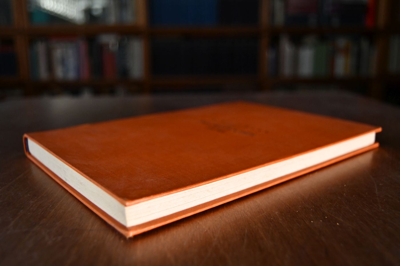 Das Reiten der Dame.