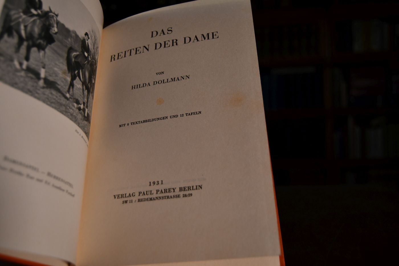 Das Reiten der Dame.