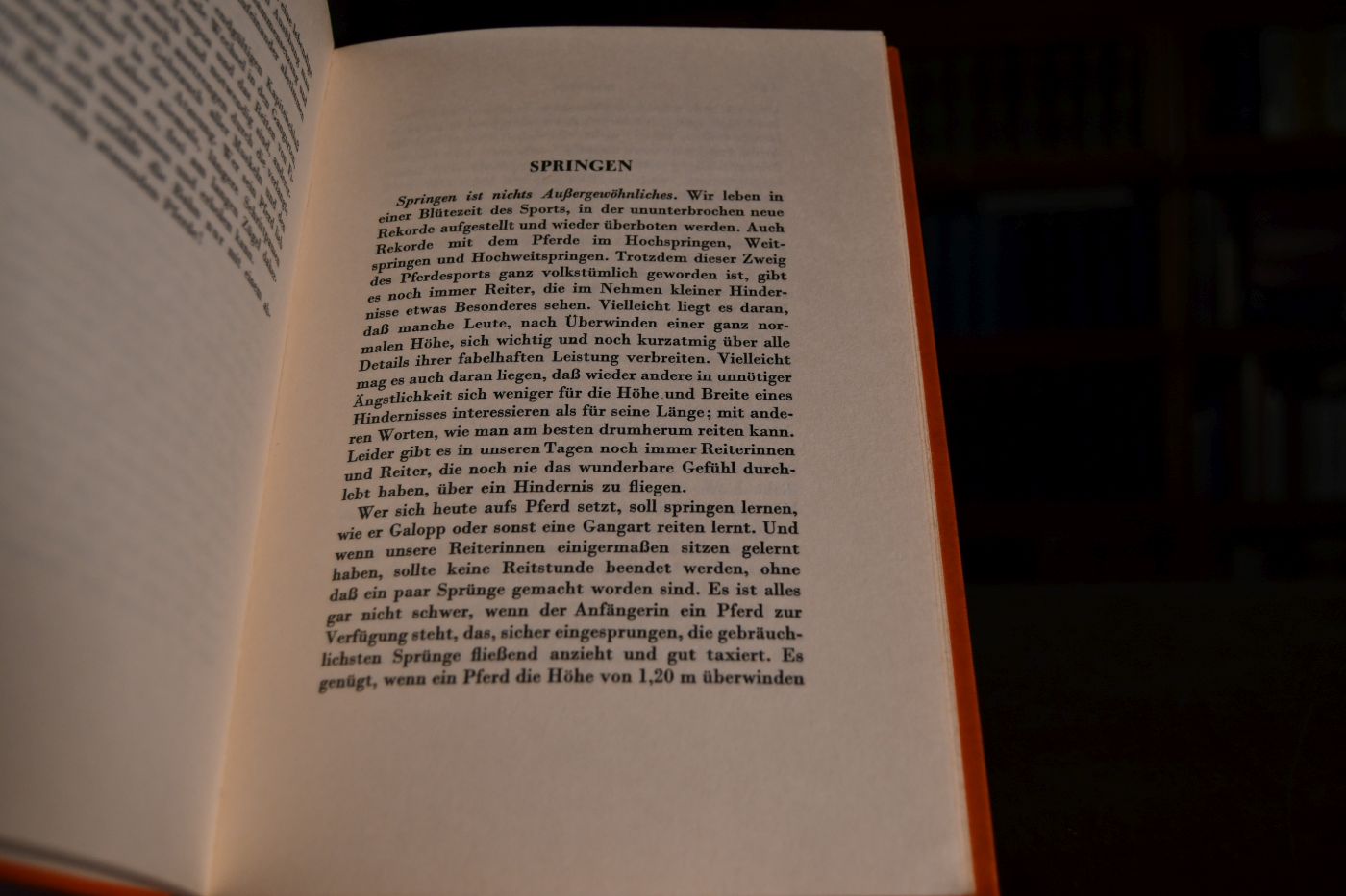 Das Reiten der Dame.