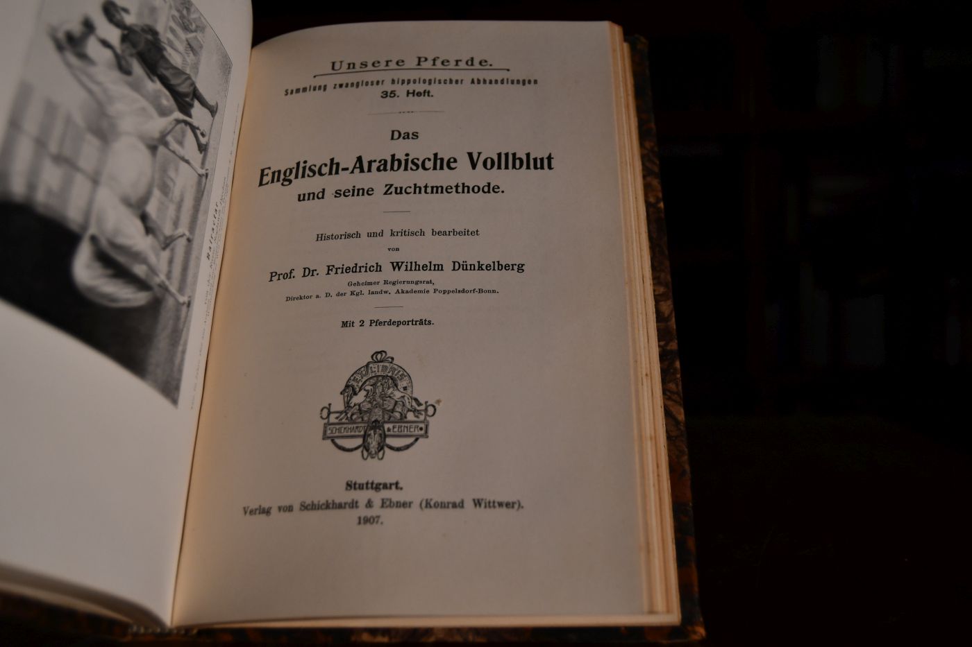 Das arabische und Angloarabische Pferd. Enthält 3 Ausgaben von Unsere Pferde. Sammlung zwangloser hoppologischer Abhandlungen. 33.+51+35. Heft. 1. Lukomski, B. von Das arabische Pferd in Slawuta und anderen Gestüten des südwestlichen Russlands.93 S. Stgt. 1906. 2. Borowiak, J. Die Arabische und Anglo-arabische Pferdezucht der Grafen Branicki in Bialocerkiew, 88 S. Stgt. 1914. 3. Dünkelberg, Friedrich Wilhelm Das Englisch-Arabische Vollblut und seine Zuchtmethode.78 S. Stgt. 1907.