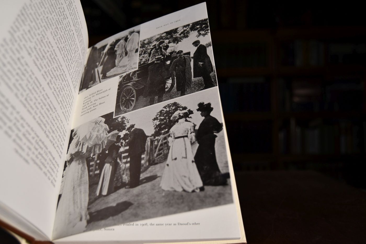 The Crabbet Arabian Stud. Its History & Influence.