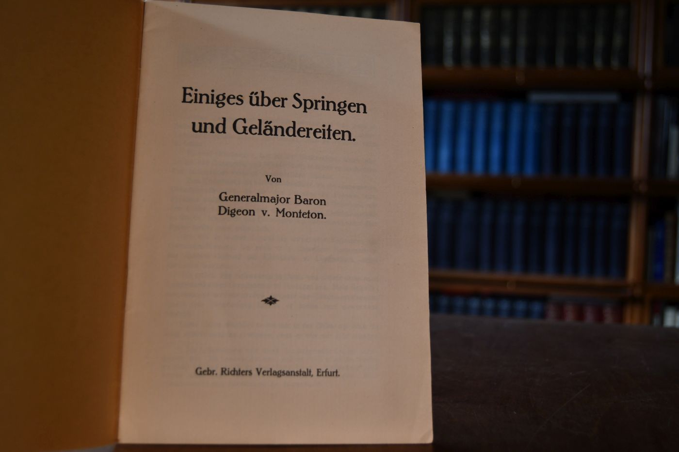 Einiges über Springen und Geländereiten.