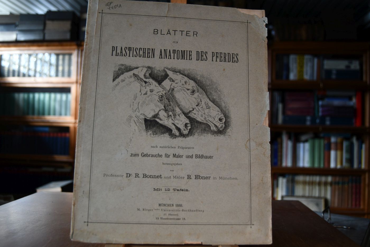 Blätter zur plastischen Anatomie des Pferdes nach natürlichen Präparaten zum Gebrauche für Maler und Bildhauer.